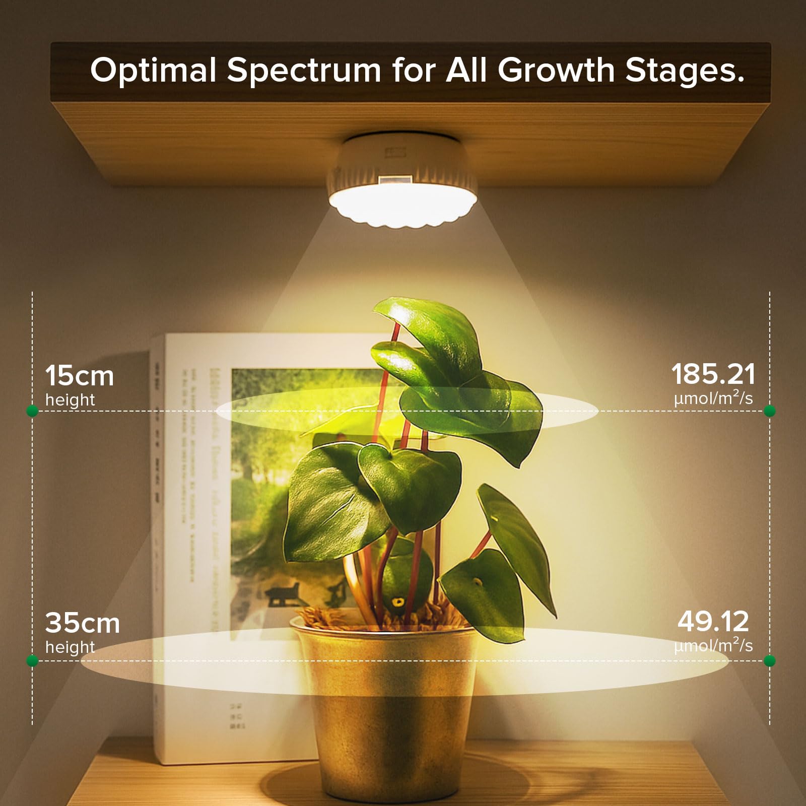 SGLEDs 7W grow light featuring four dimming levels for customizable brightness