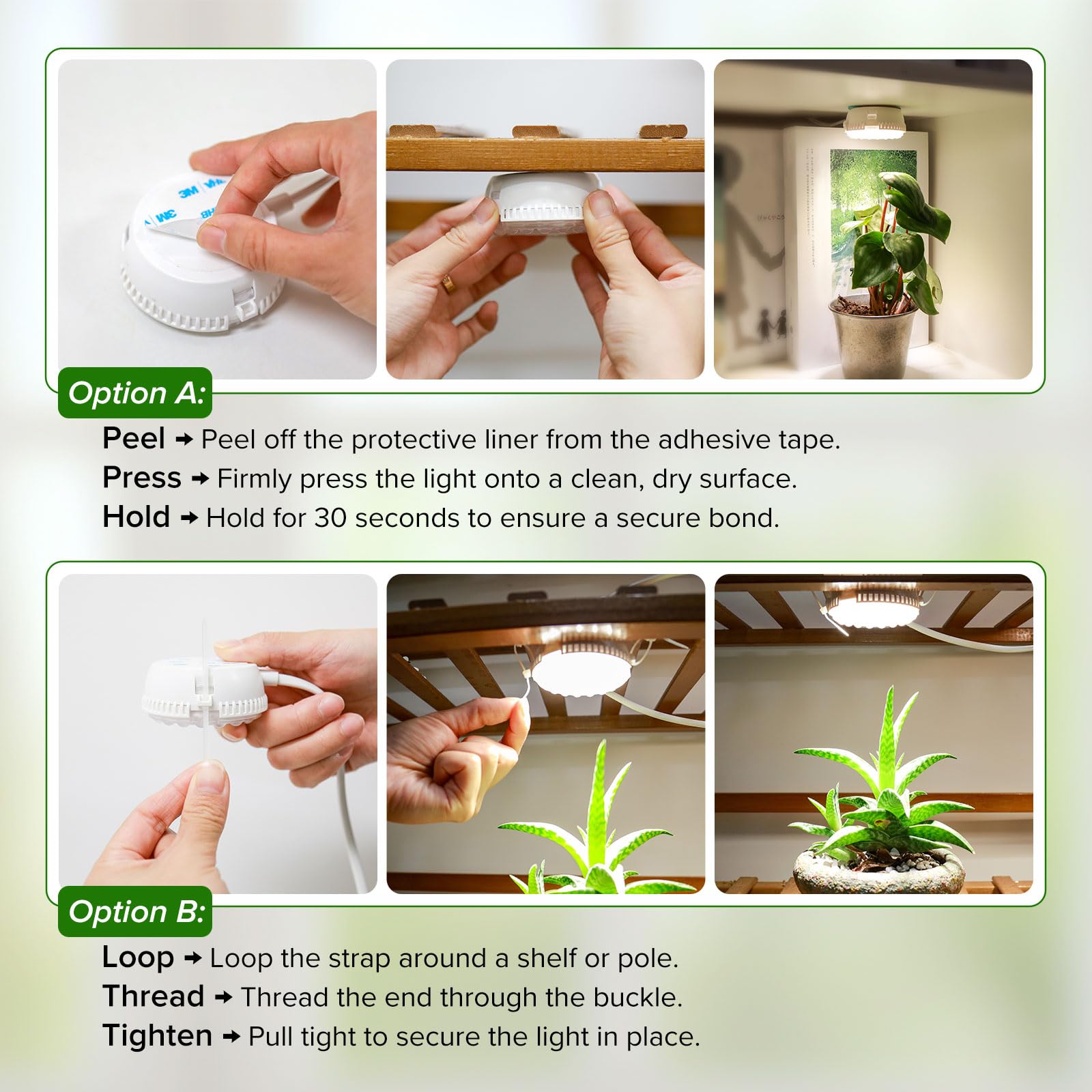 SGLEDs 7W grow light aiding seedling and herb growth in home or office spaces