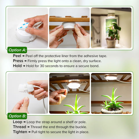 SGLEDs 7W grow light aiding seedling and herb growth in home or office spaces