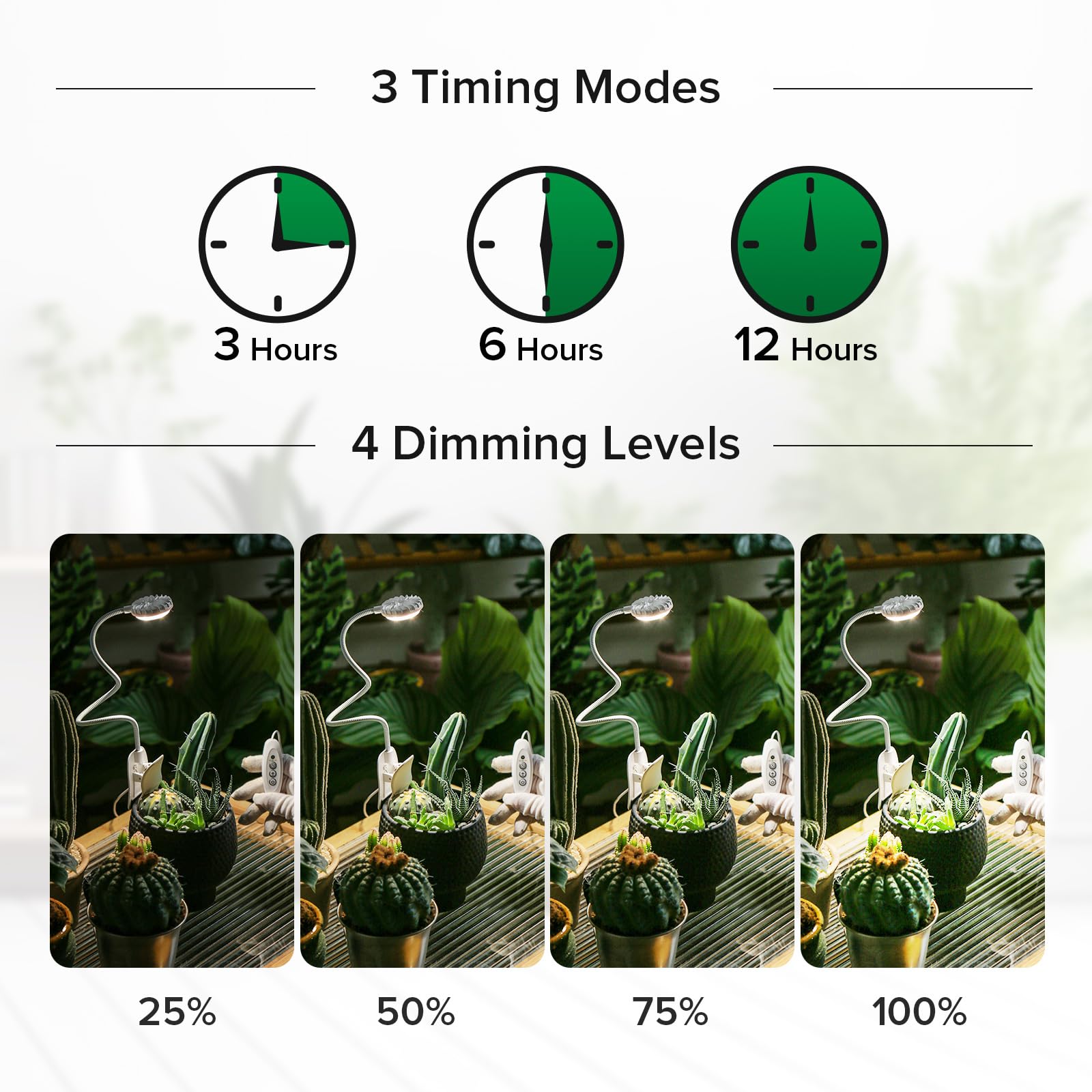 SGLEDs Clip-On Grow Light with four brightness levels for adjustable care