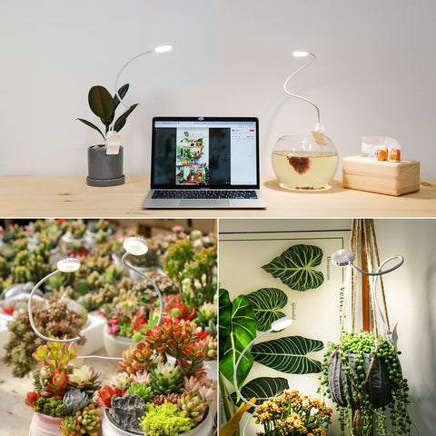 SGLEDs Clip-On Grow Light gooseneck design for flexible placement