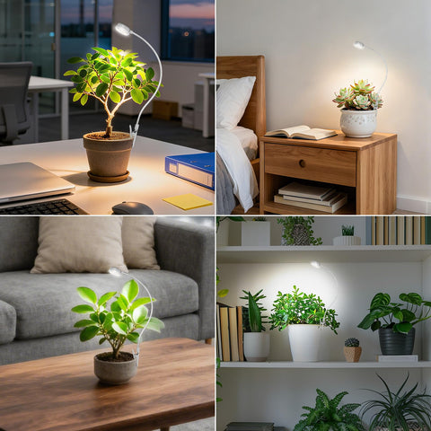 SGLEDs clip-on grow light over a succulent showing even coverage.
