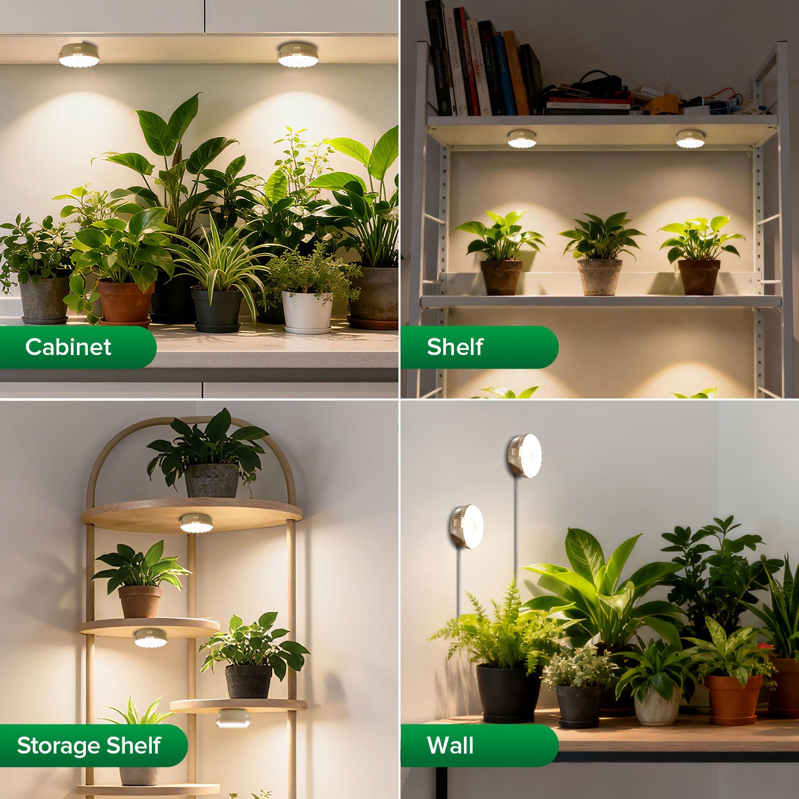 SGLEDs full-spectrum light mimics sunlight for healthy plant growth and vibrant color