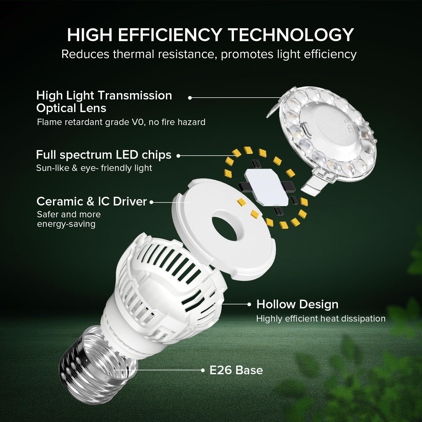 Two-bulb SGLEDs package showing 2-pack convenience