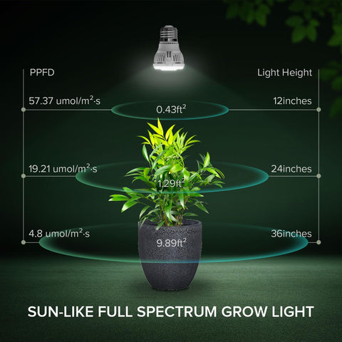 Bulb emits full spectrum daylight for even leafy greens growth