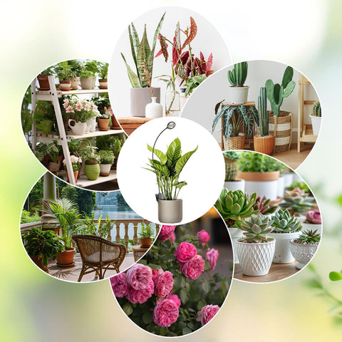 SGLEDs IP20 indoor grow light suitable for home use