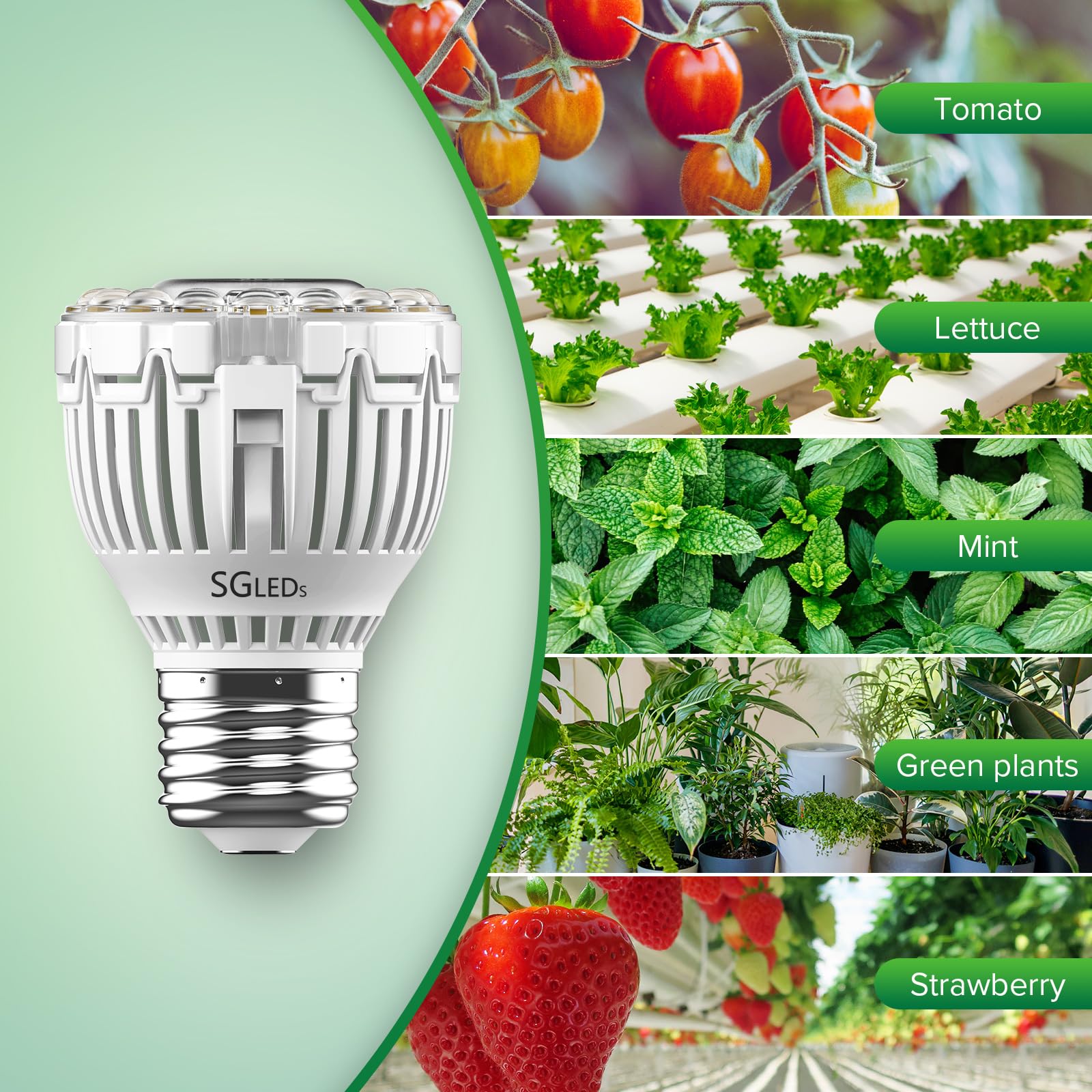 SGLEDs light with lens design enhances light distribution and PPFD