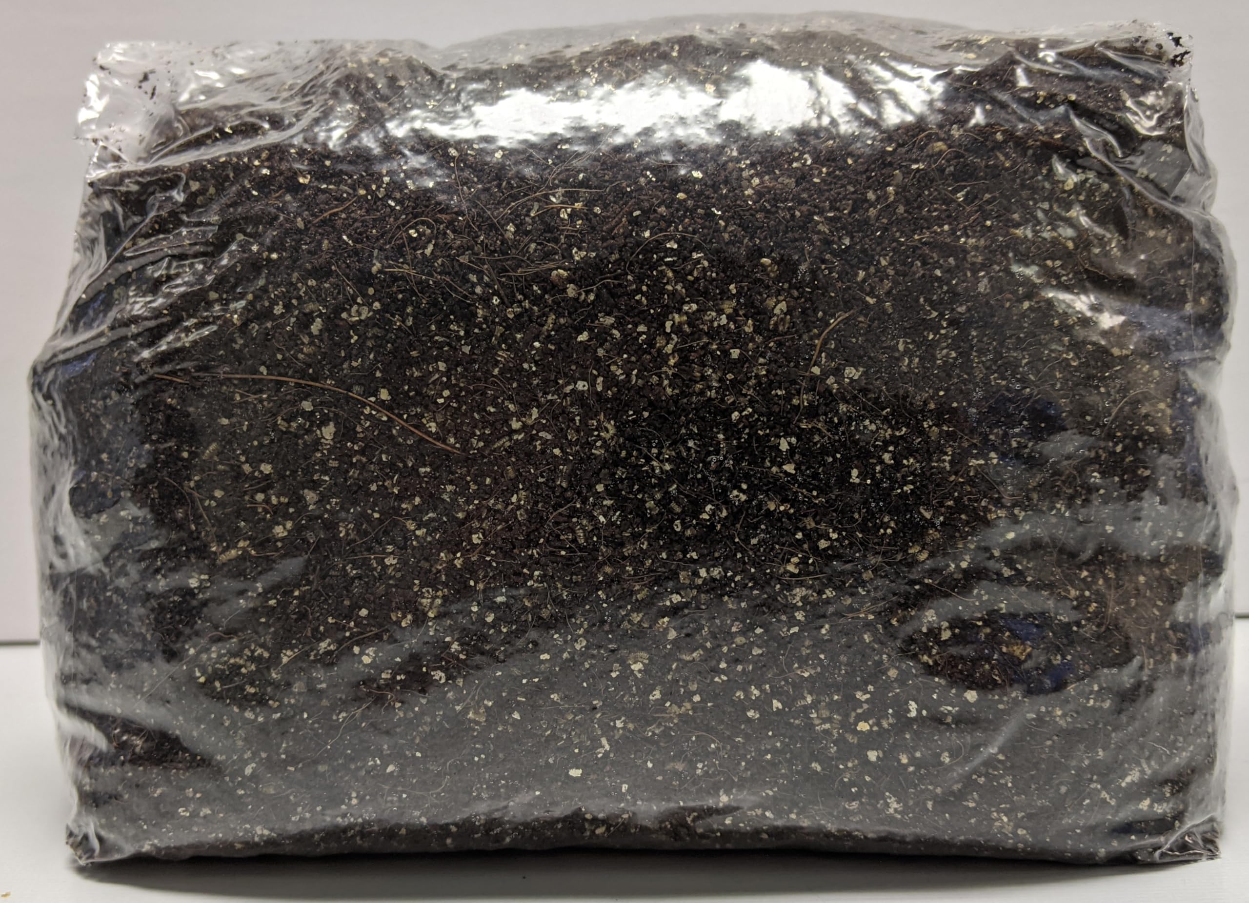 SGM LABS CVG substrate ready-to-use mix designed for consistent monotub cultivation