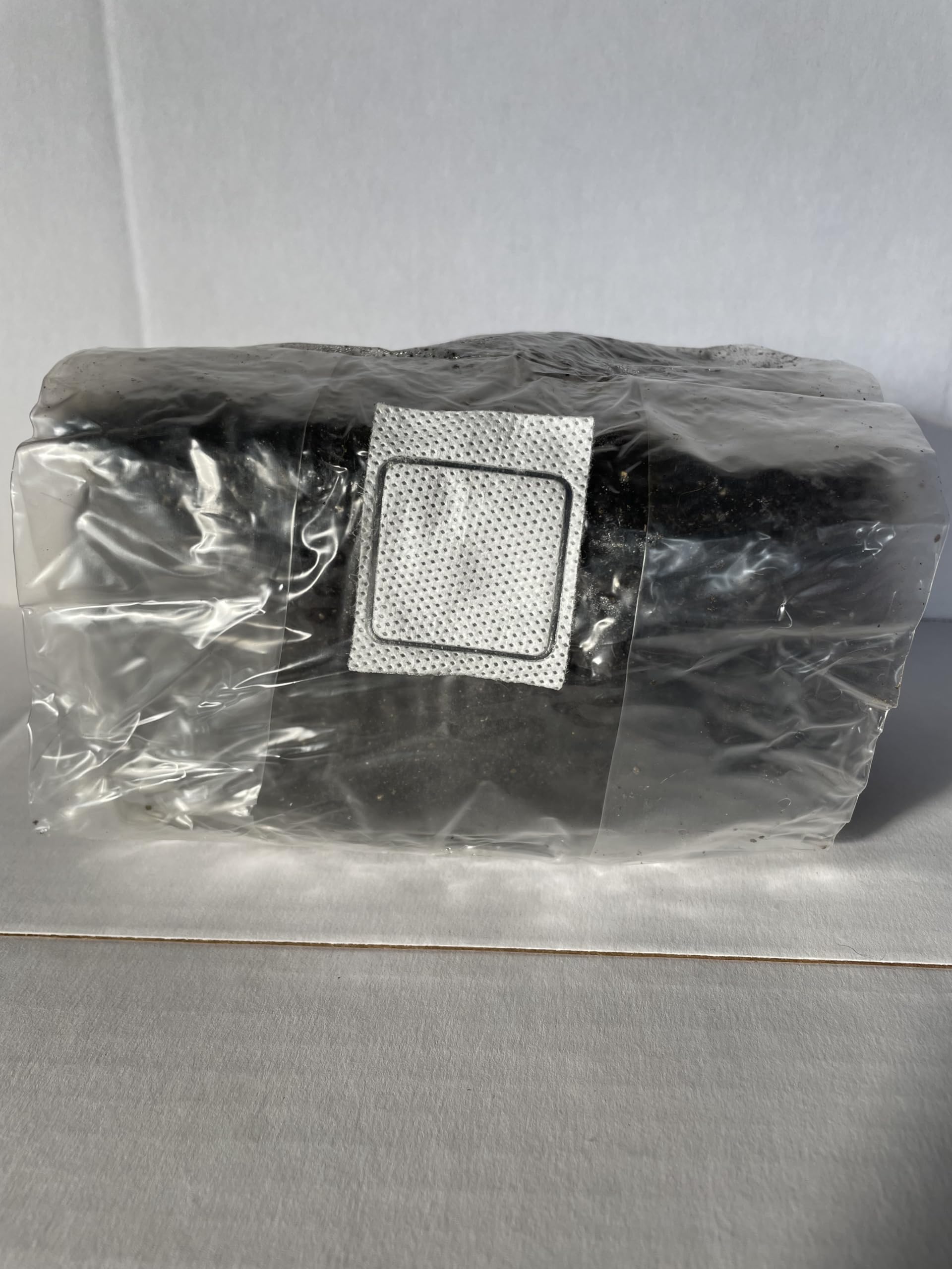SGM LABS Black Coco Substrate in monotub use supports robust fruiting with minimal prep