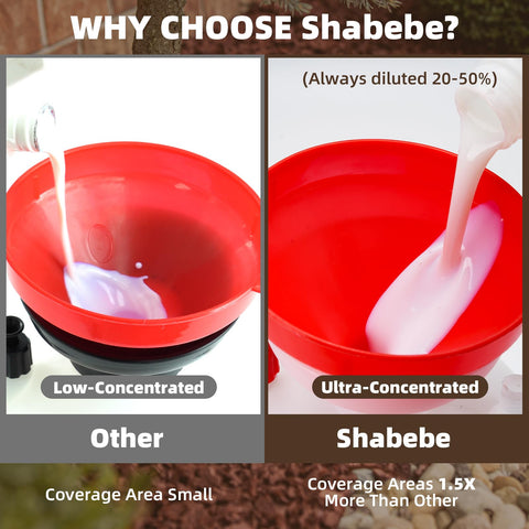 Shabebe Gravel Binder stones-adherence stabilizes gravel edging in windy conditions.