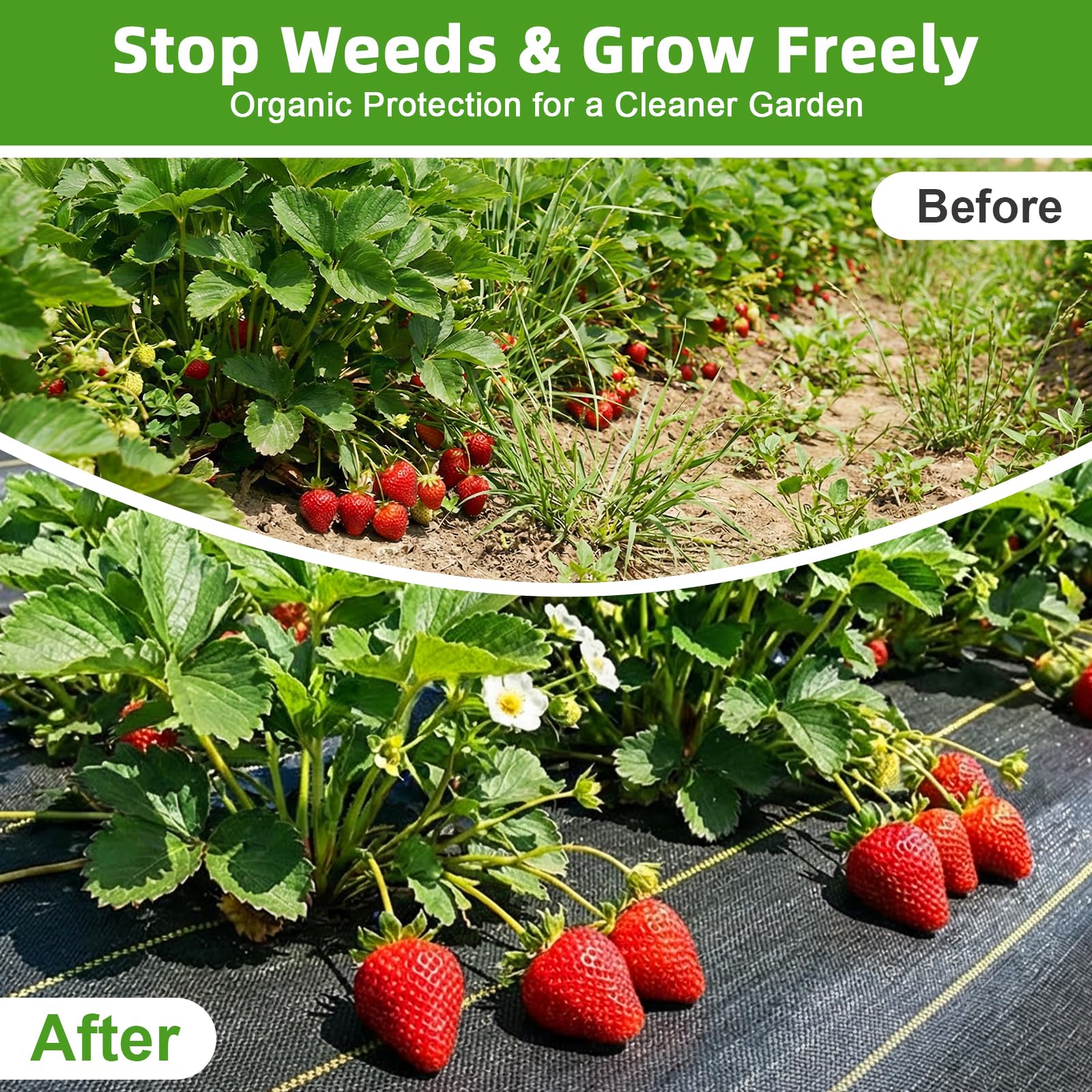 Shade&Beyond breathable weed barrier suppresses weeds while letting roots breathe.