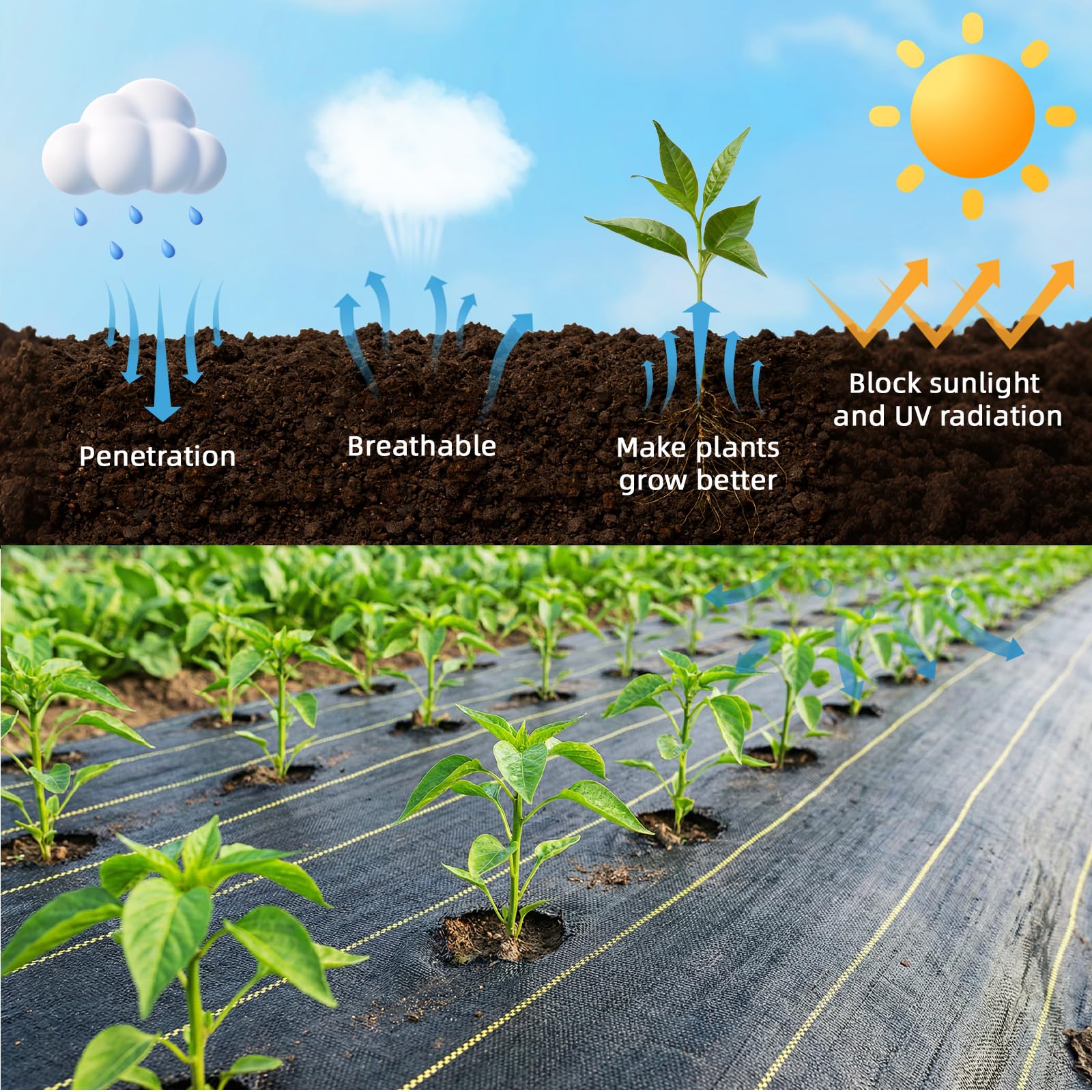 Shade&Beyond heavy-duty permeable ground cover allows air and water for healthy roots.
