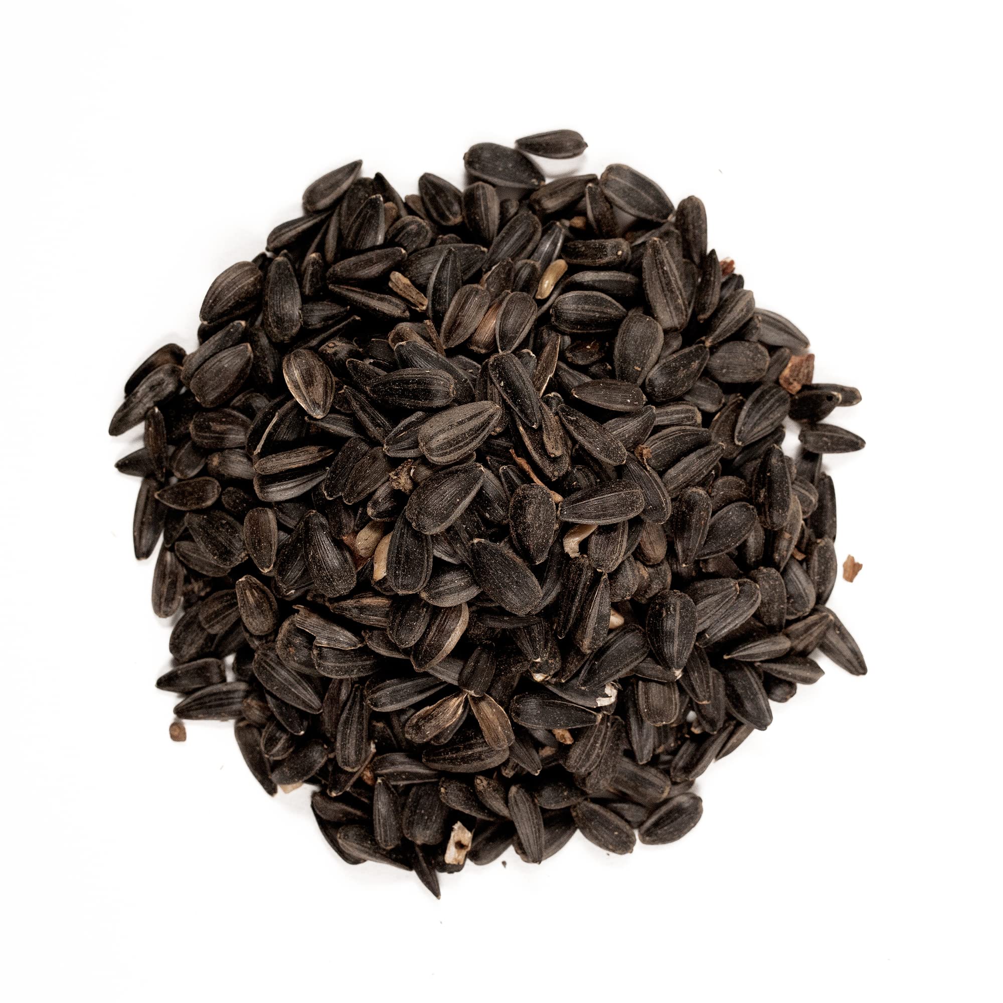 Shafer Seed 51041 seeds in feeder, great energy source for backyard birds.