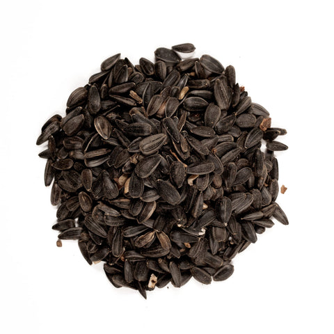 Shafer Seed 51041 seeds in feeder, great energy source for backyard birds.