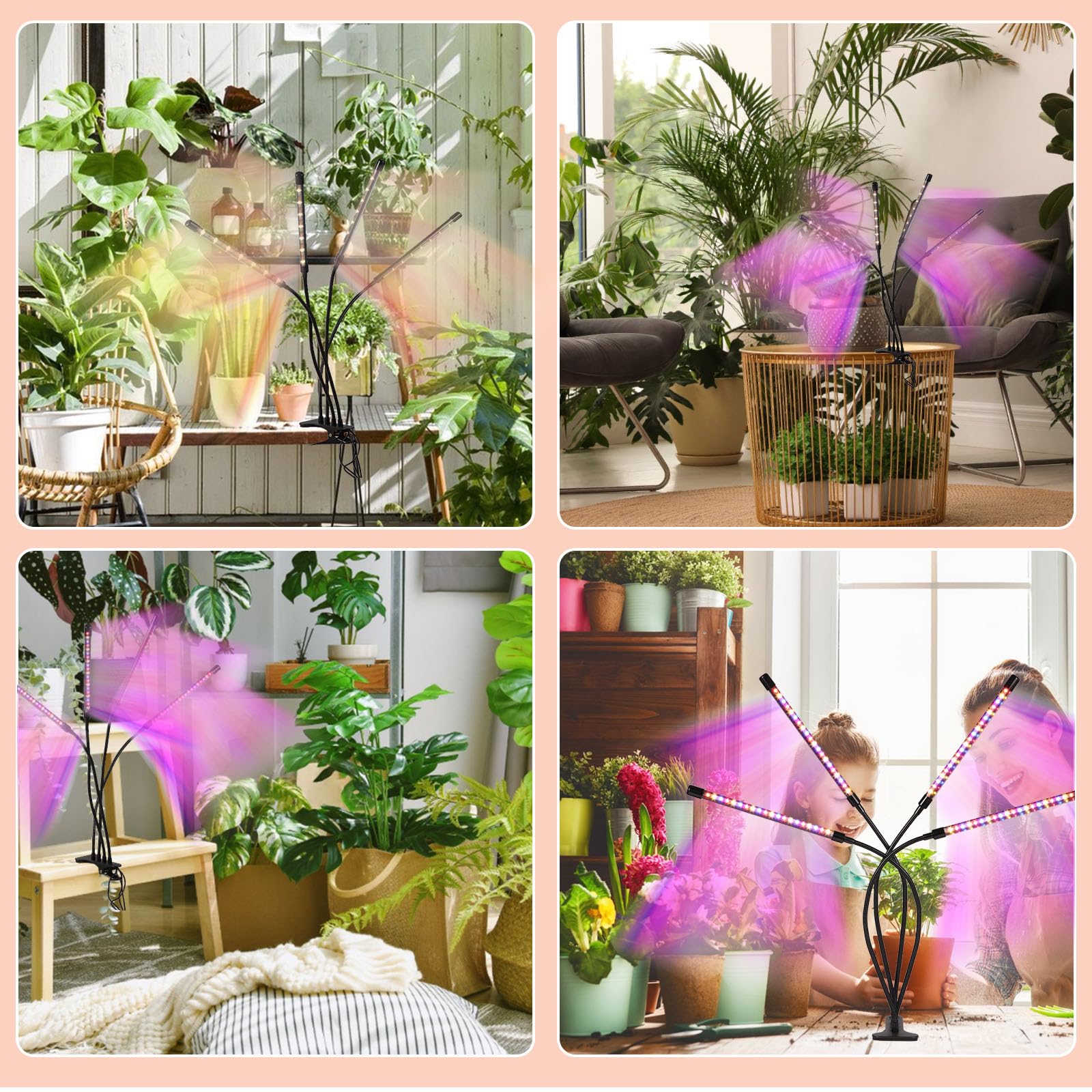 Shalaker 12-month warranty adds peace of mind for indoor gardeners.