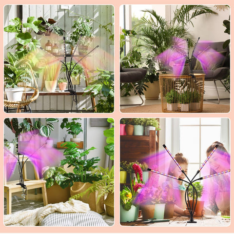 Shalaker 12-month warranty adds peace of mind for indoor gardeners.
