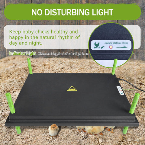 Shaledig adjustable-height legs adapt to chick growth stages.