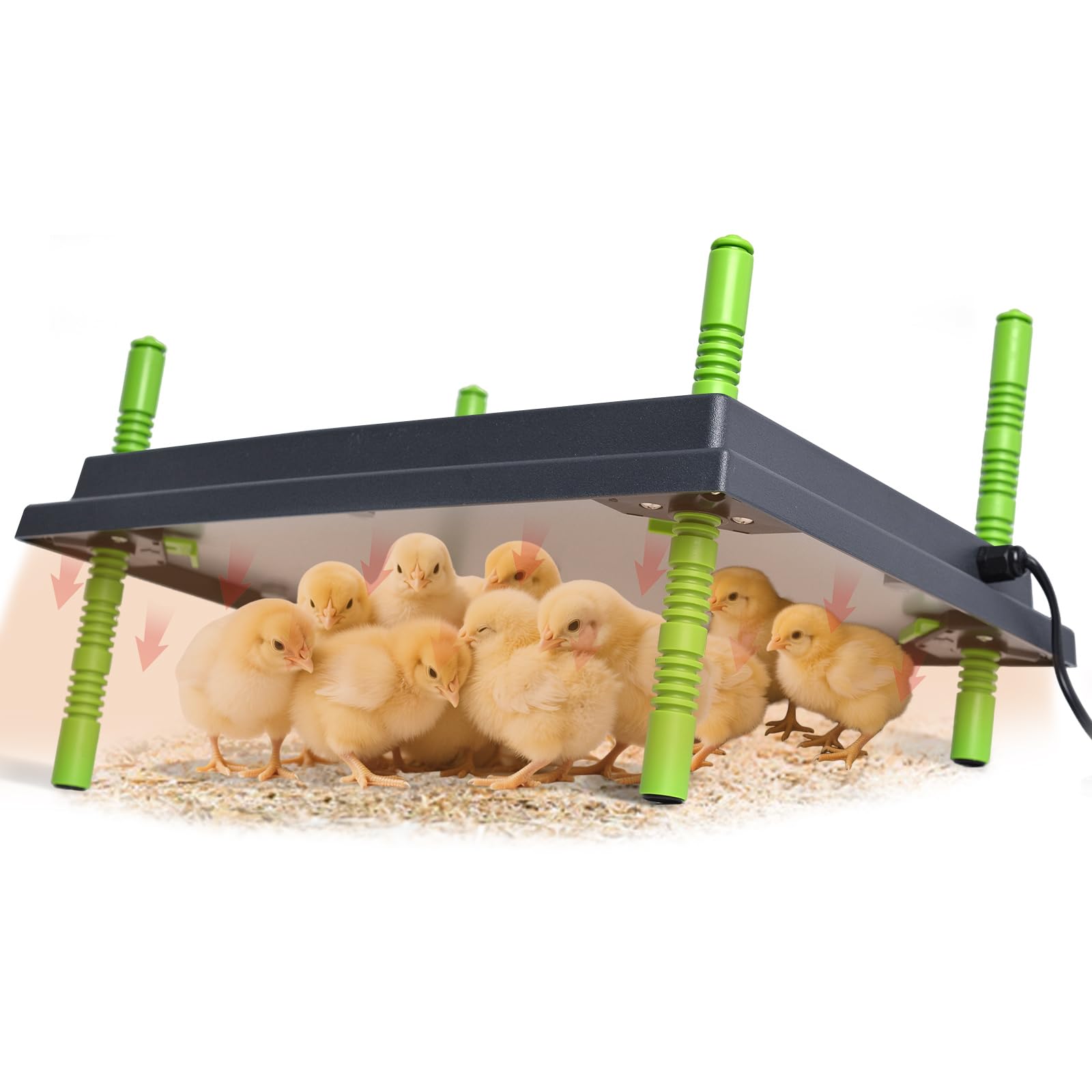 Shaledig brooder heater plate 16x22 surface warms newborn chicks safely.