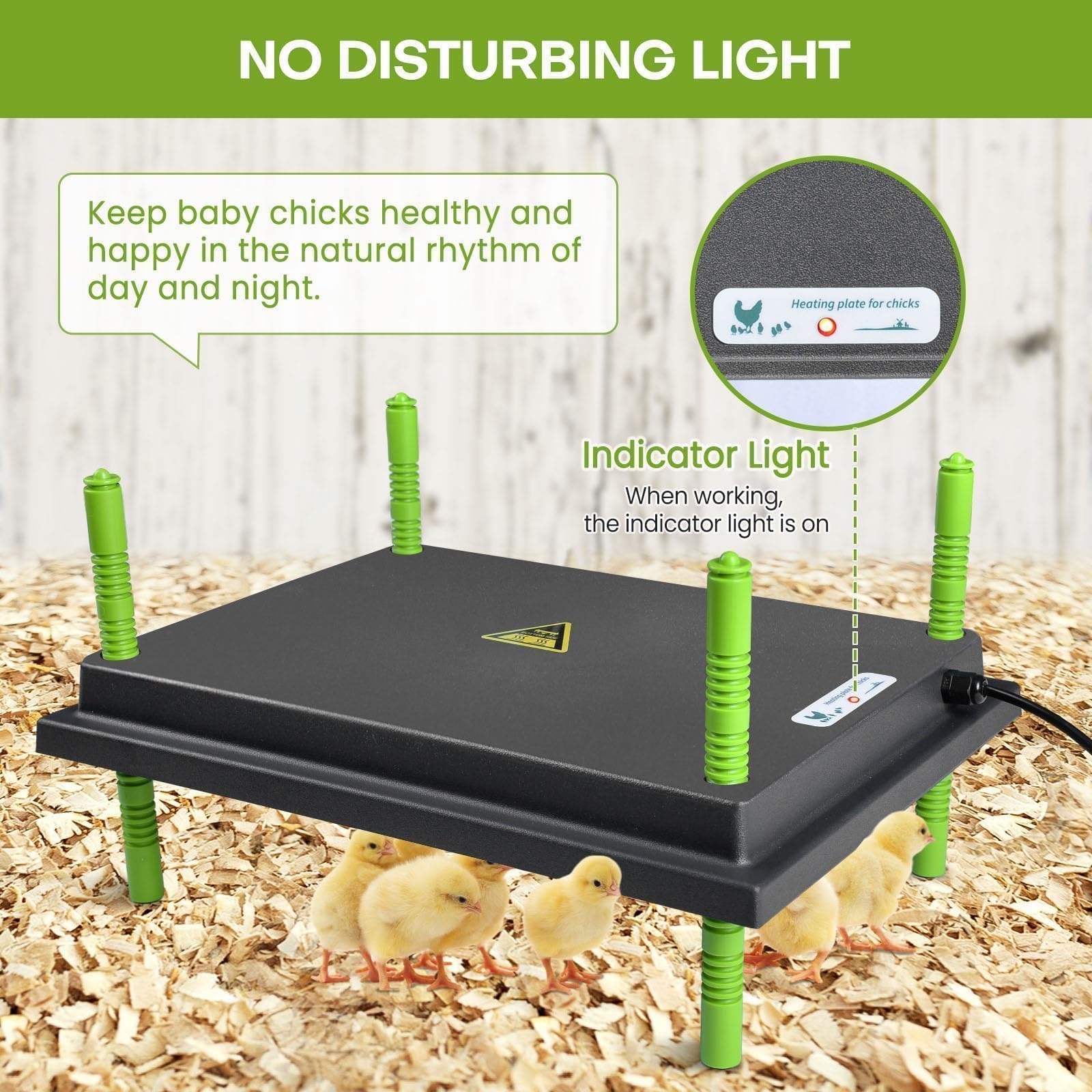 Shaledig safe, easy-to-use chick brooder for home or farm use.
