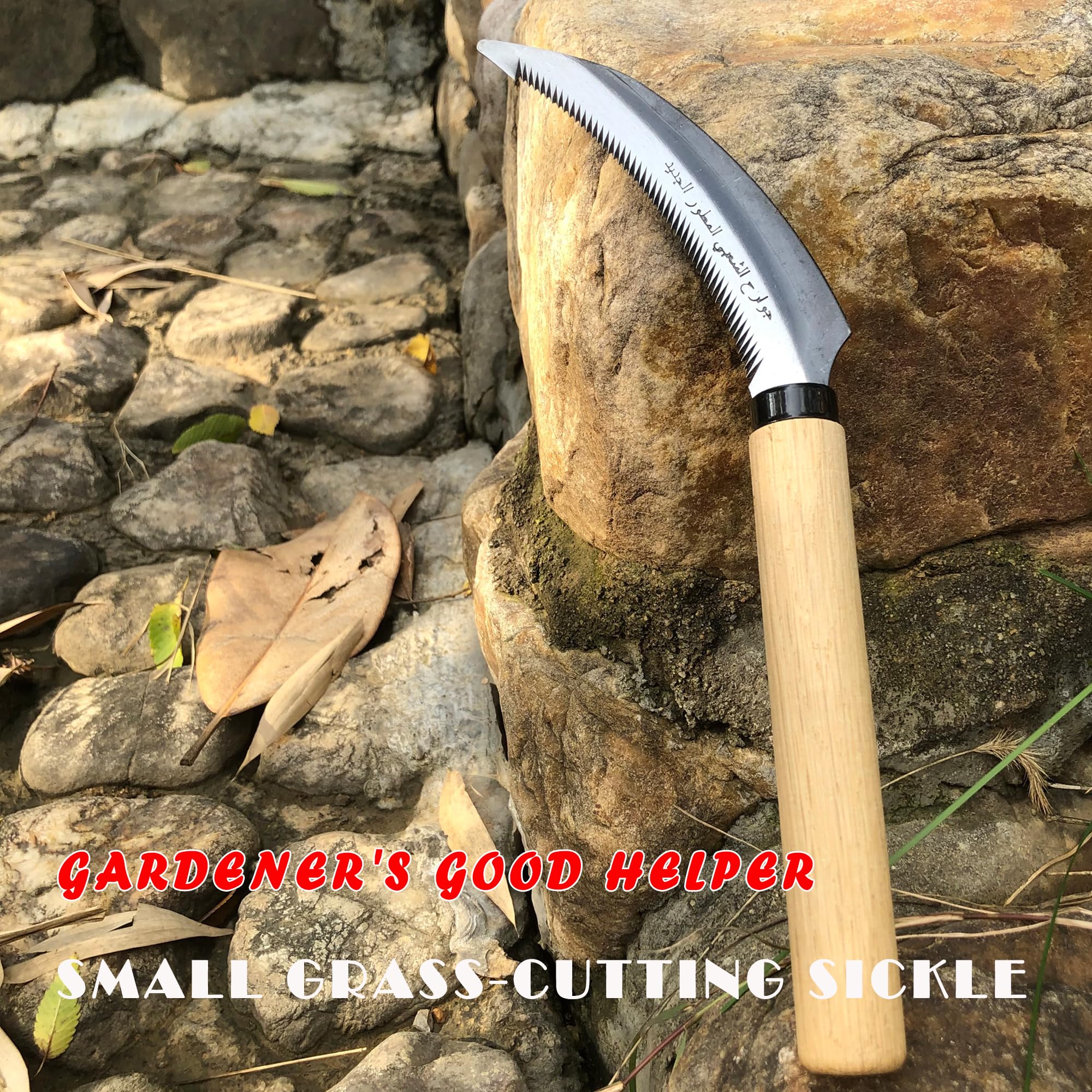 SHANFEEK weeding hoe in a garden scene for practical weed control.
