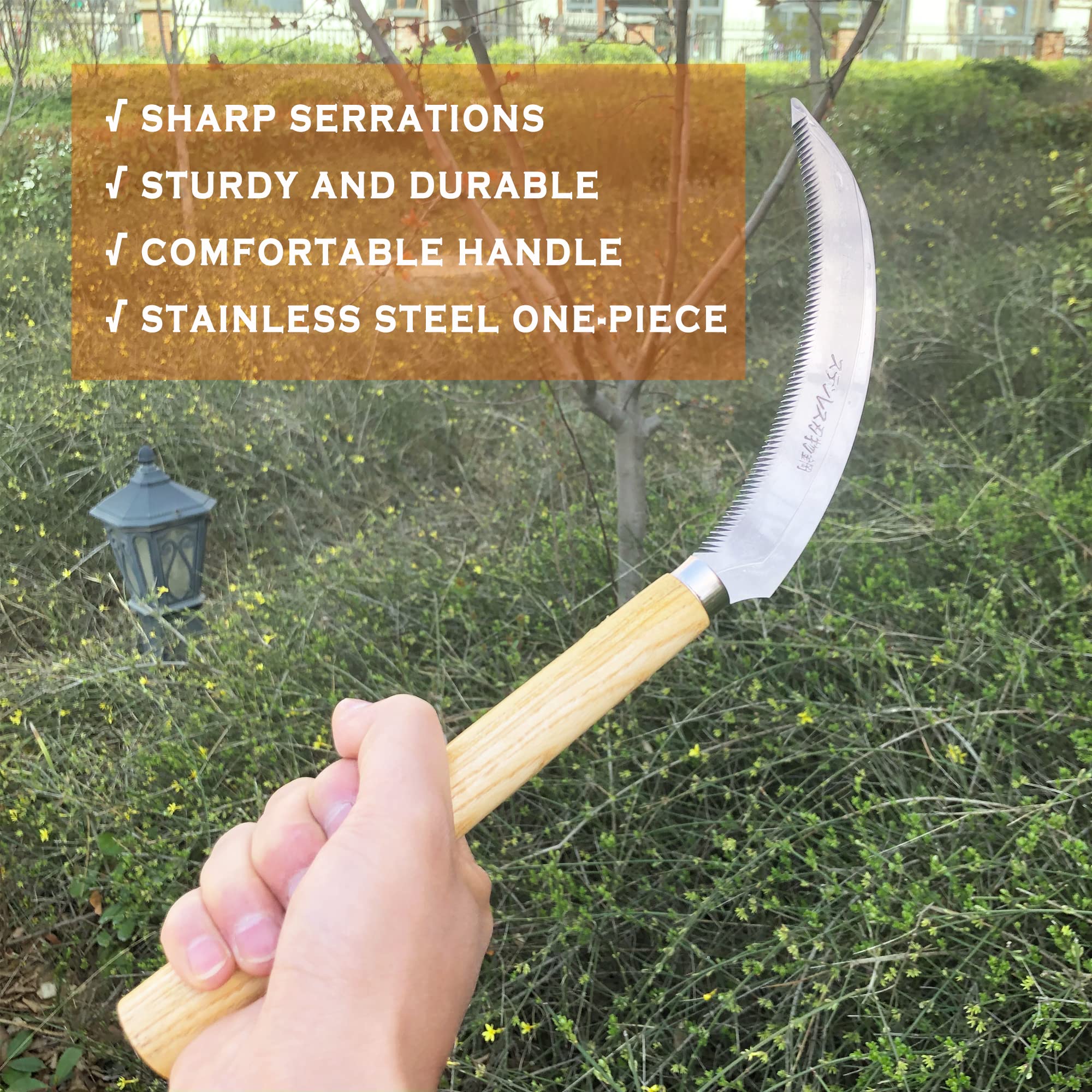 SHANFEEK weeding tool in action cutting tough roots with durable stainless steel