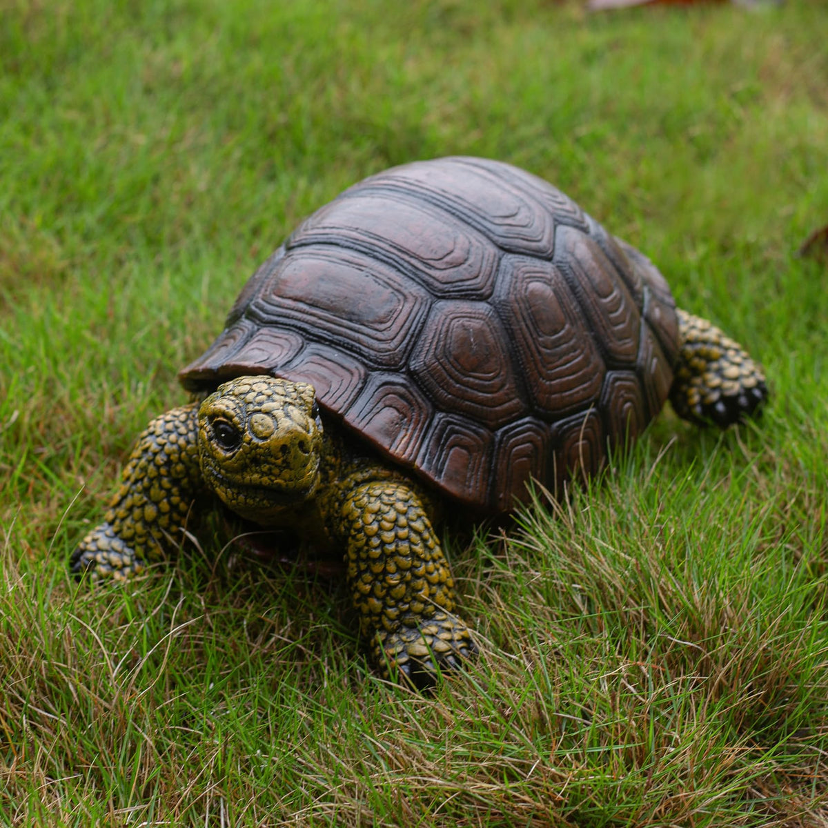 SHAODIE Garden Turtle Statue with shell-pattern enhances garden curb appeal