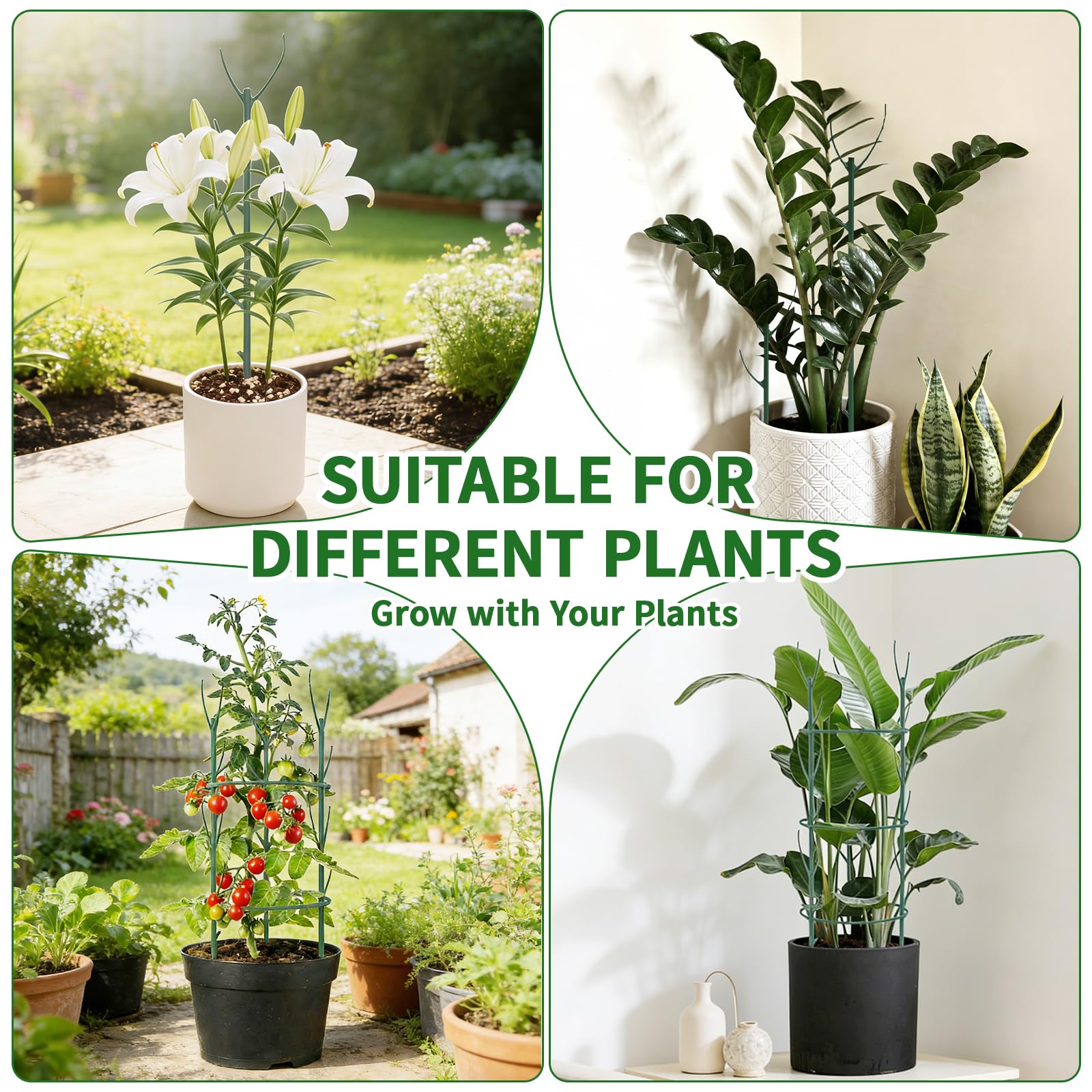 SHAOKAOLU compact 10-piece set provides versatile plant support