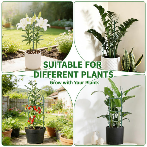 SHAOKAOLU compact 10-piece set provides versatile plant support