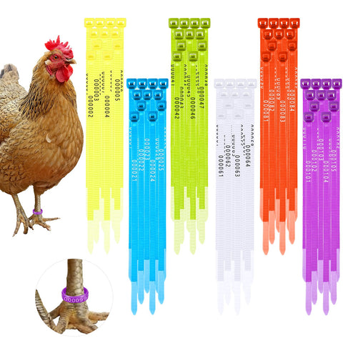 Shappy 120-pcs leg bands in six colors brighten flock identification.