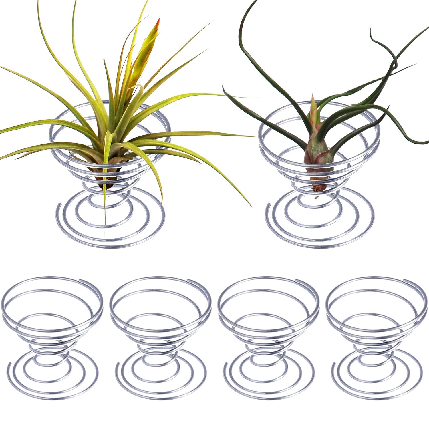 Shappy 6-piece air plant stands displayed together for desk decor