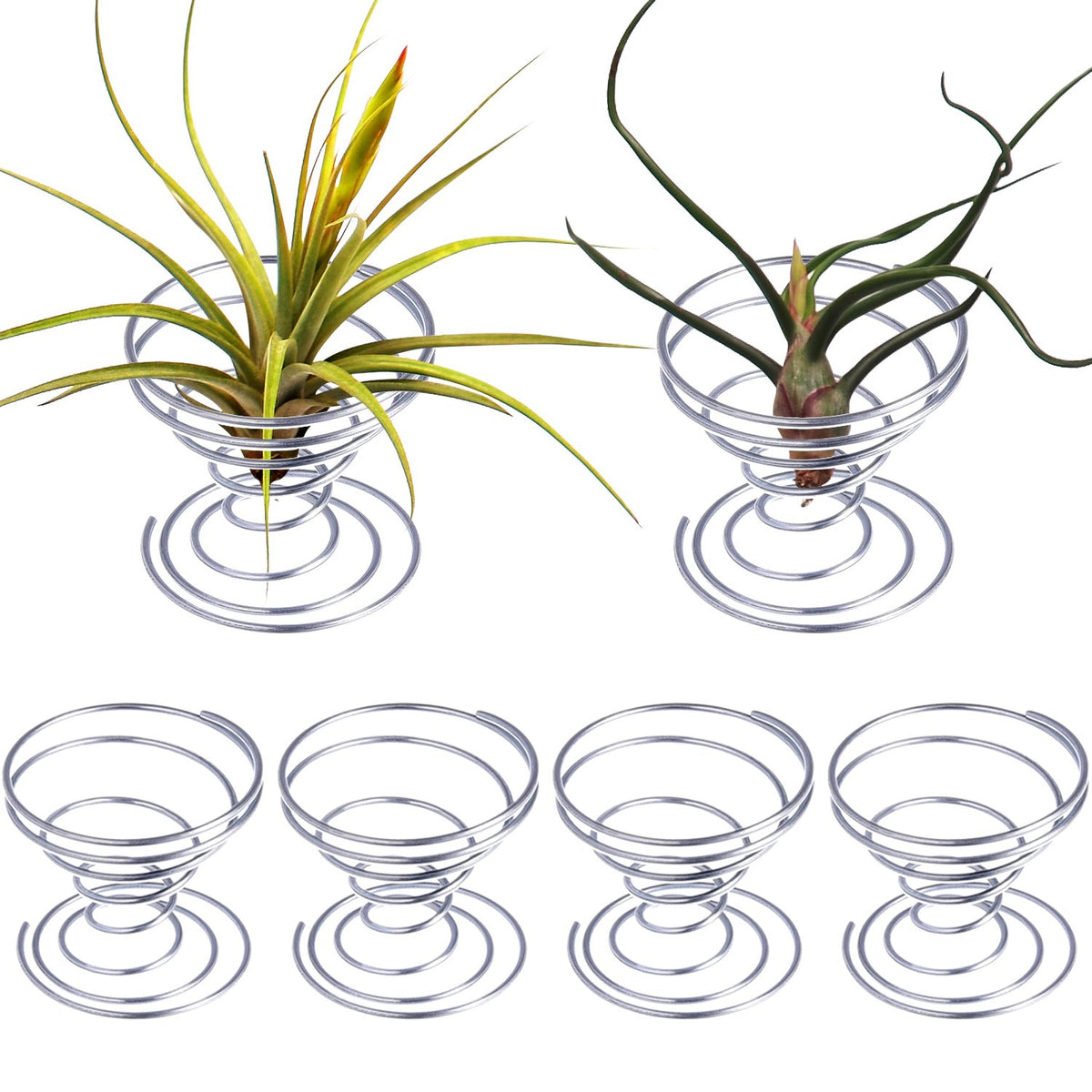 Shappy 6-piece air plant stands displayed together for desk decor