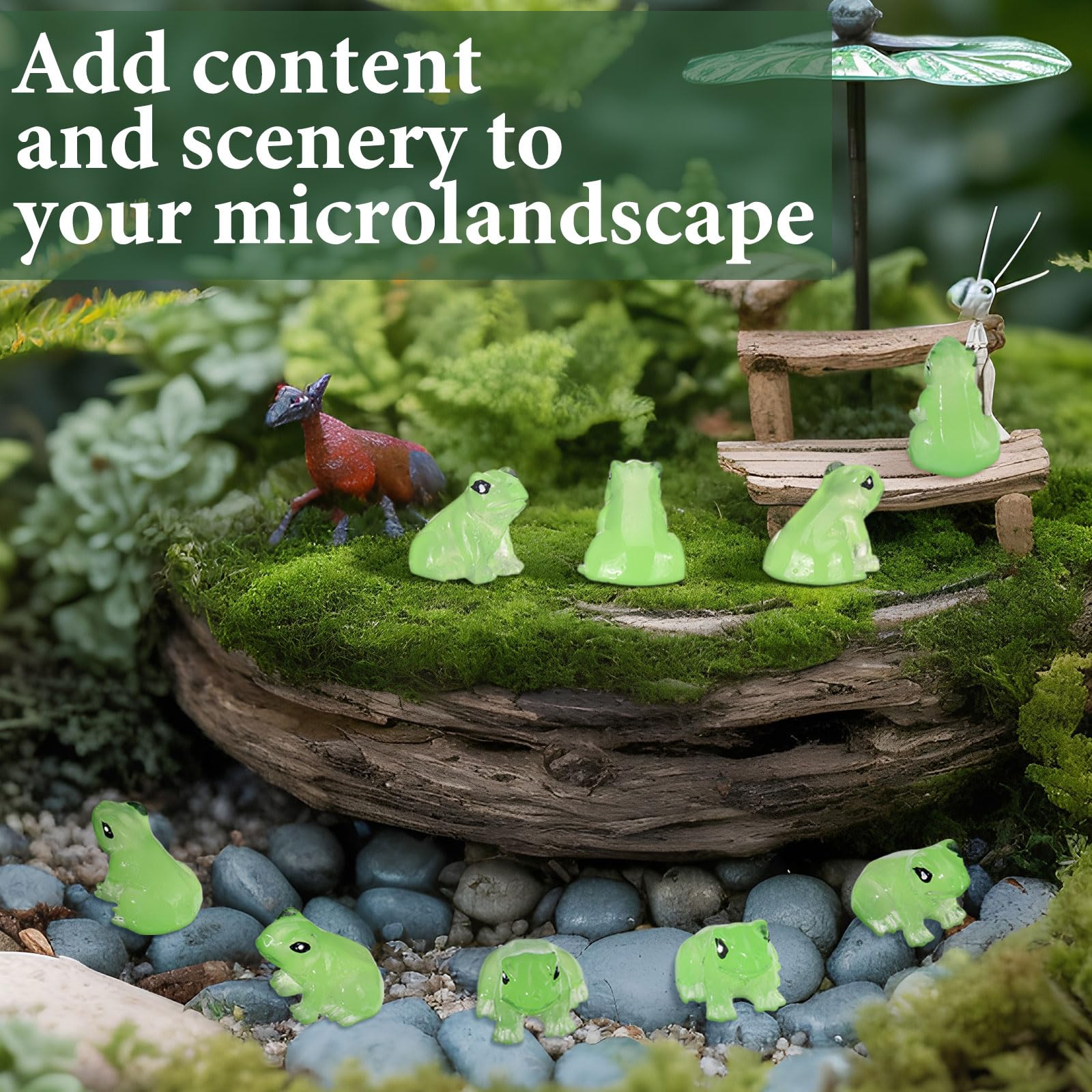 Shappy mini frogs perch nicely in gardens or moss landscapes.