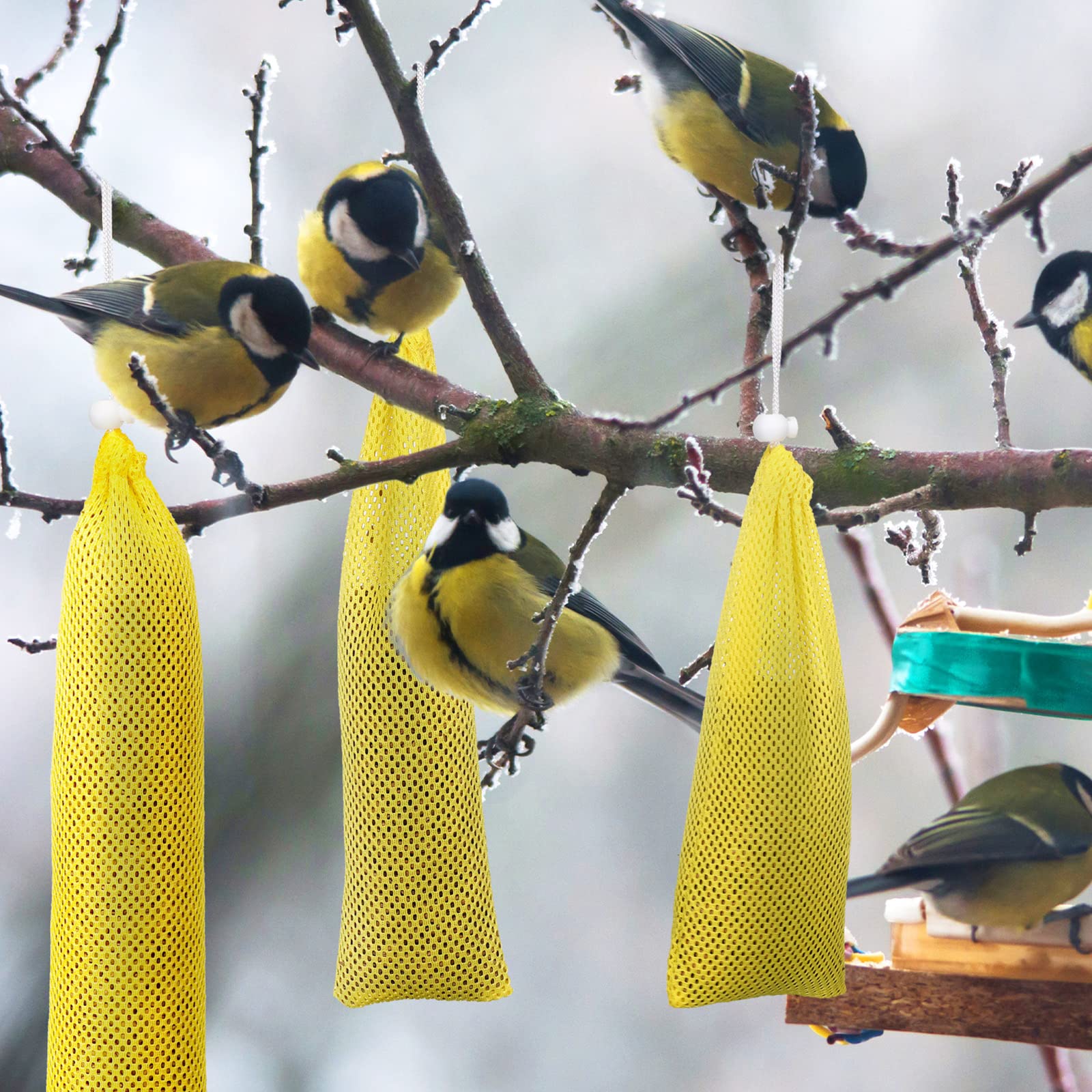 Shappy bird feeding gift pack idea for nature lovers and kids.