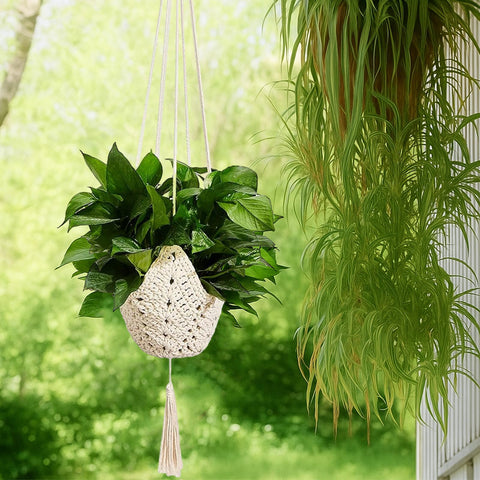 Shappy compatible with most 3-12 inch pots for easy styling.