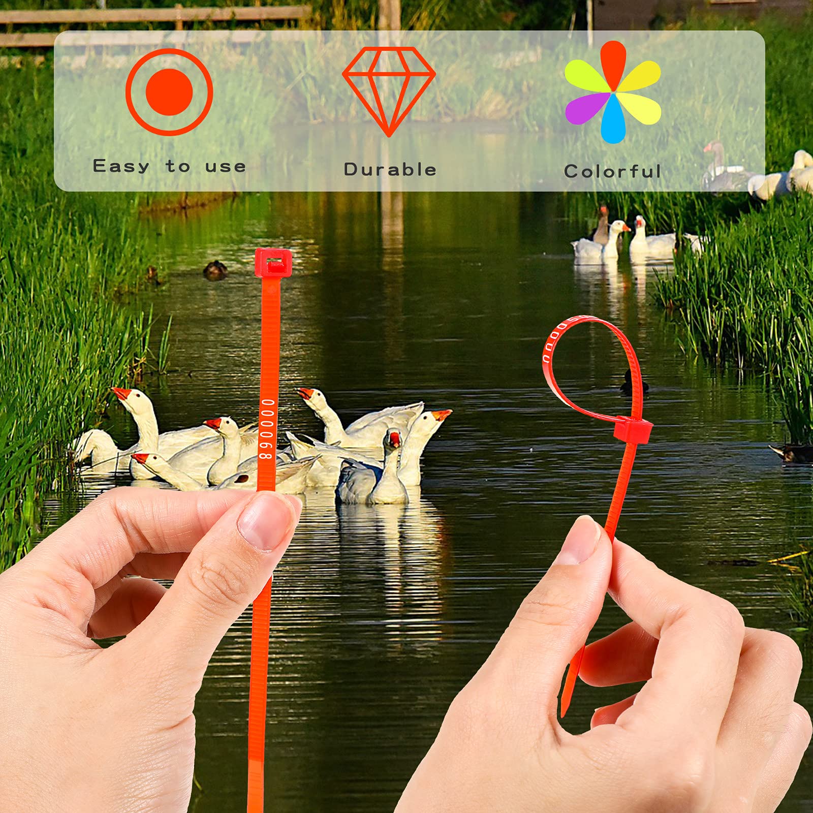 Shappy fluorescent colors offer high visibility for fast visual checks on flocks.