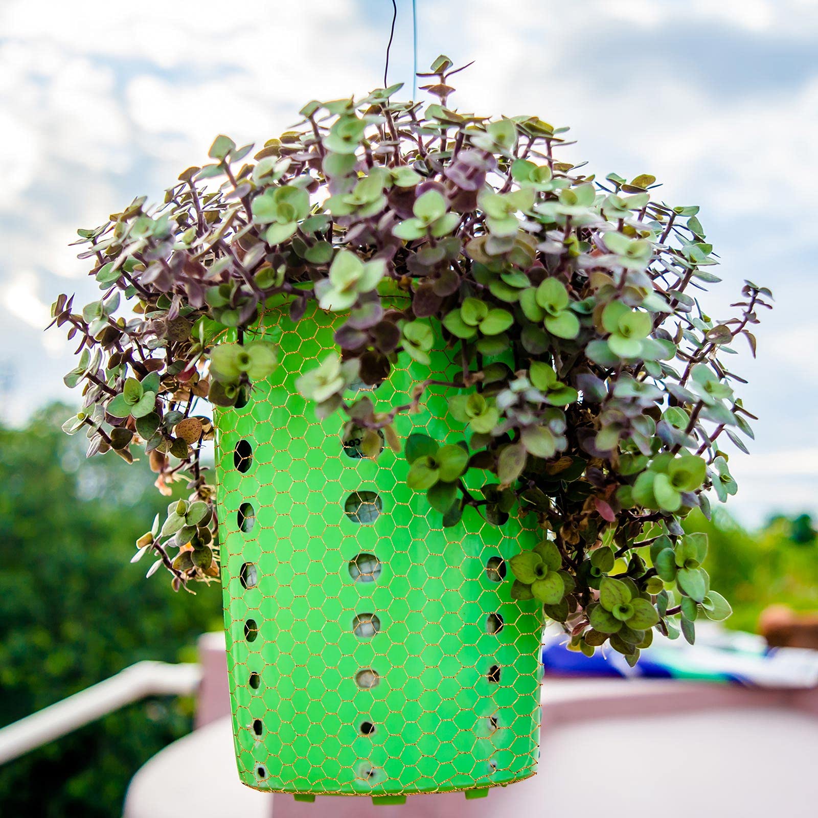 Shappy garden protection net for plant safeguarding