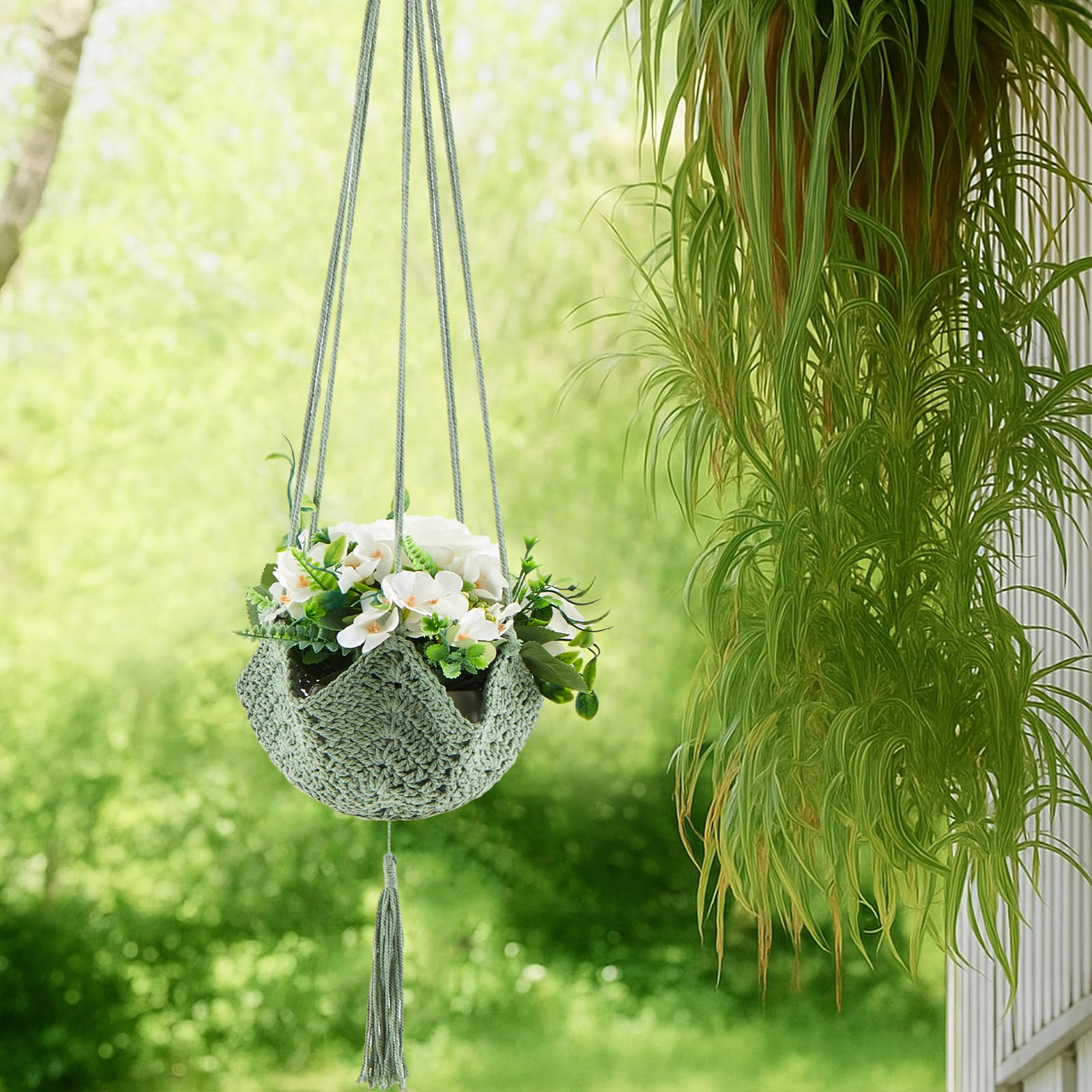 Shappy hanging planters with hooks; ideal gift for plant lovers and new home decor.