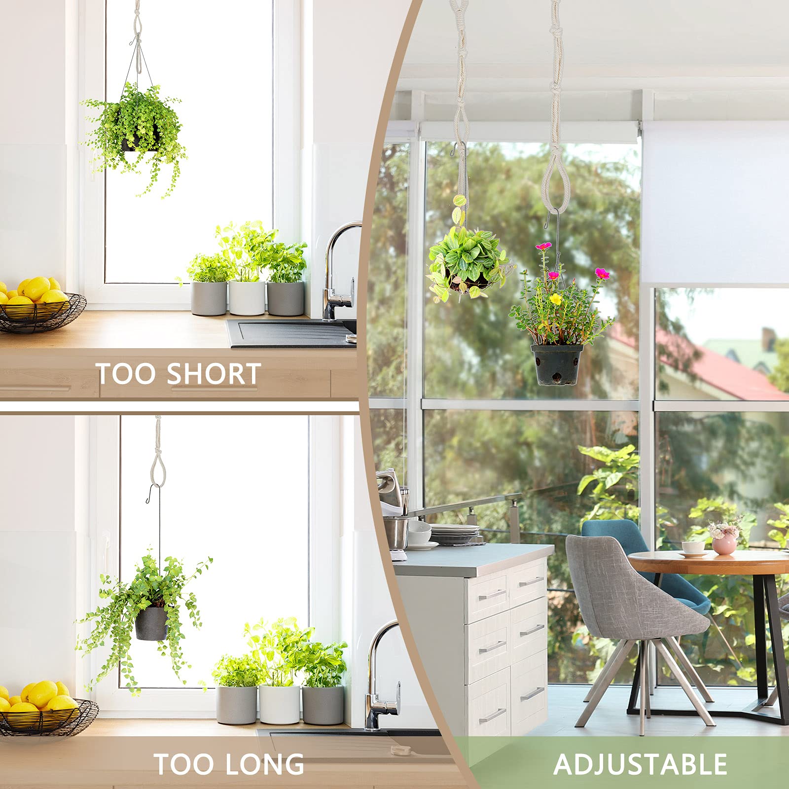 Shappy indoor/outdoor display on balcony for versatile decor.