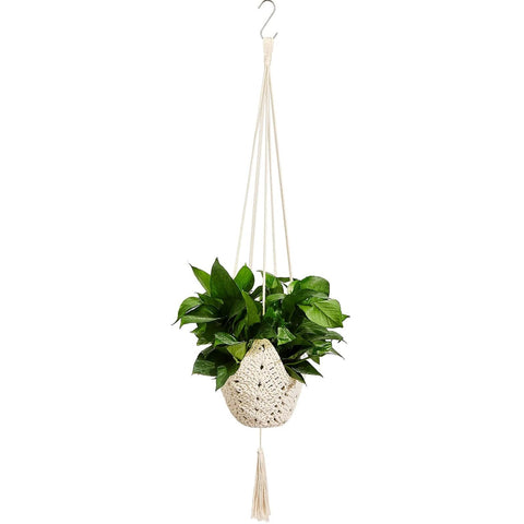 Shappy jute crochet plant hanger for 3-12 inch pots adds cozy indoor decor.