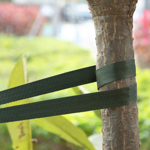 Shappy sapling-shrub-tether capture gentle restraint for shrubs without damage