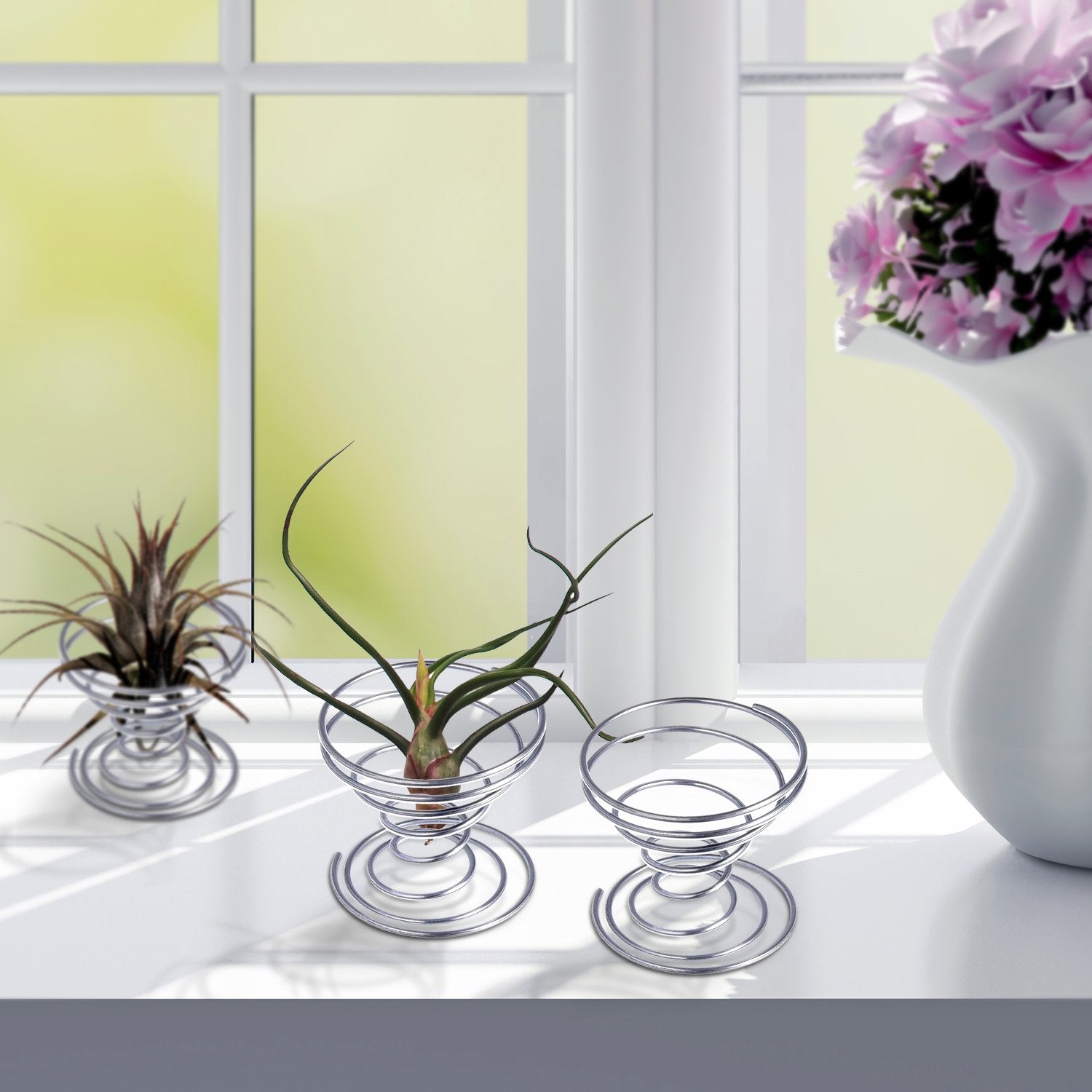 Shappy silver air plant holder on a tidy desk setup