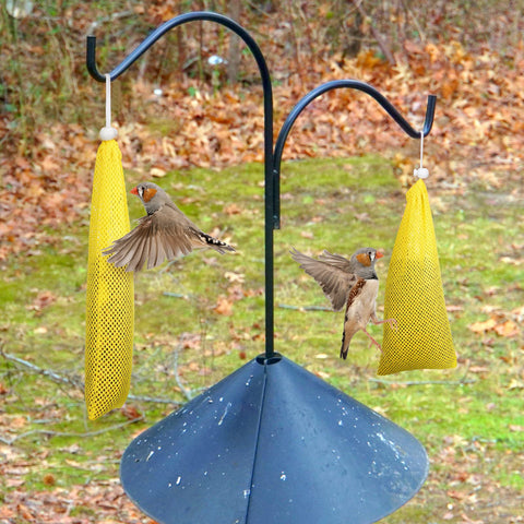 Shappy mesh design feeder close-up showing durable holes and steady seed flow.