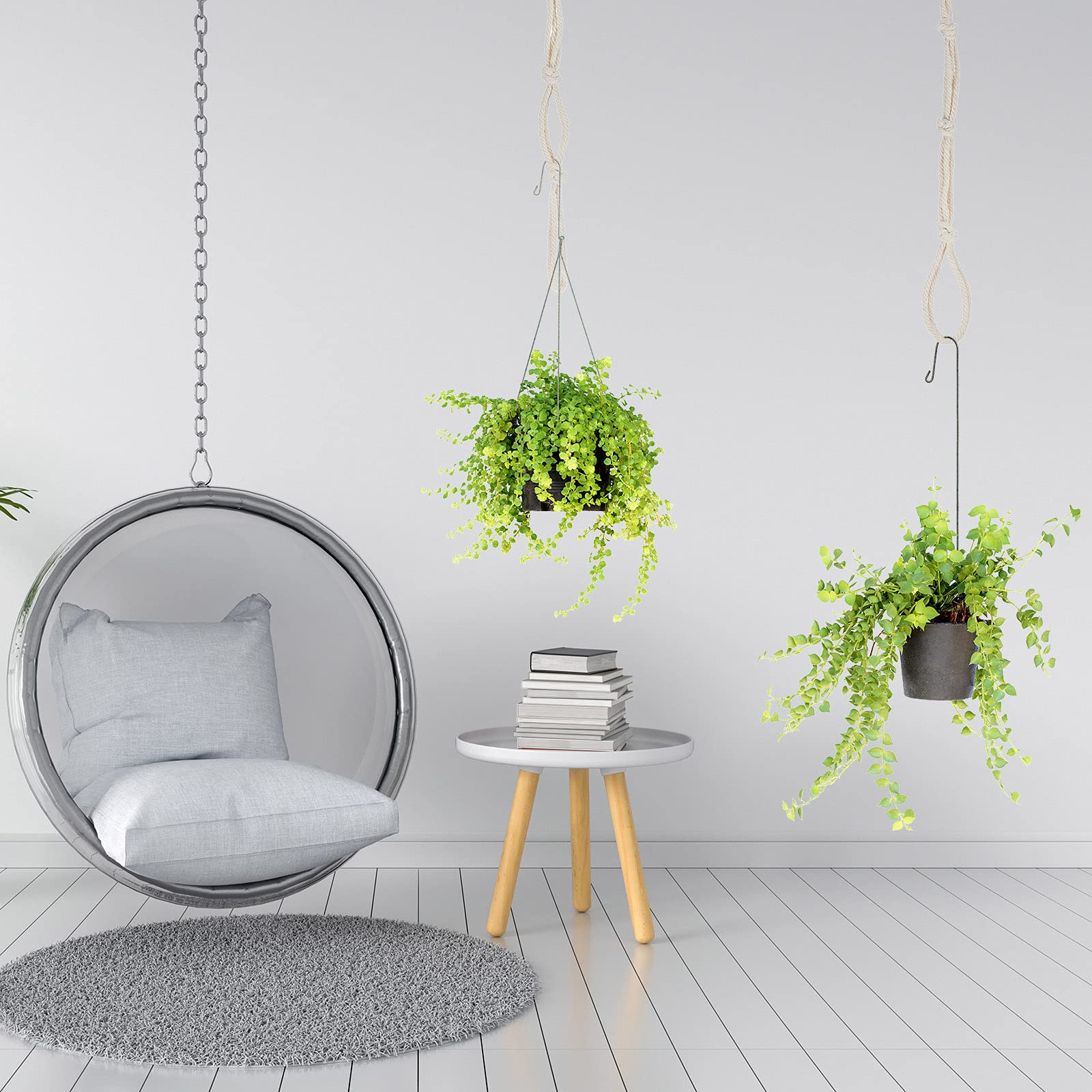 Shappy display emphasizes easy hanging and plant organization.