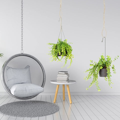 Shappy display emphasizes easy hanging and plant organization.