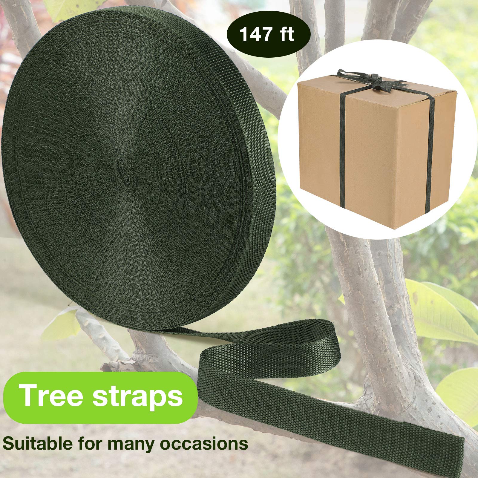 Shappy dark green color blends with outdoor plants and trees.