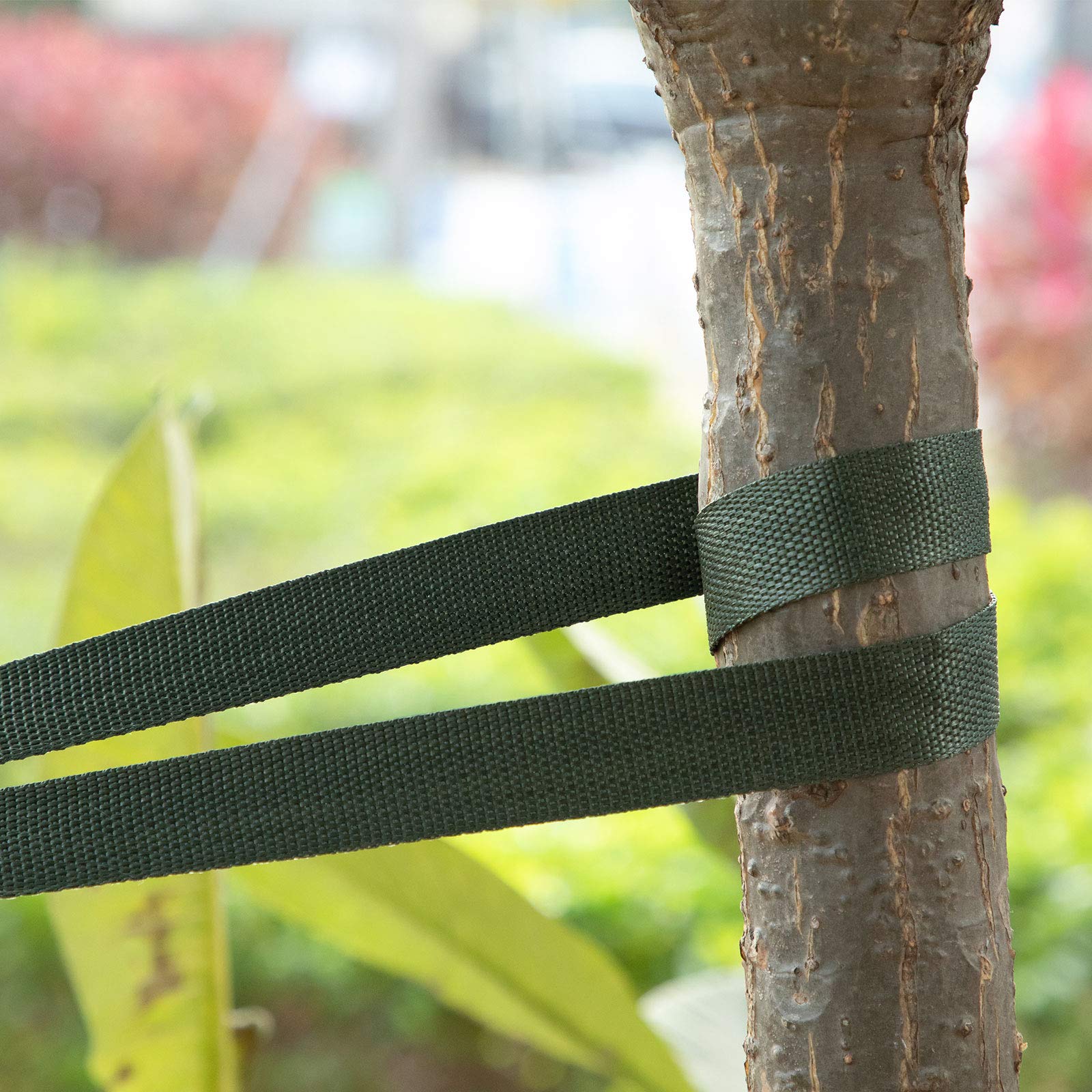 Shappy strap stretches softly without chafing bark during installation.