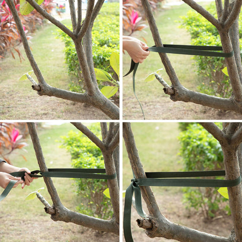 Shappy strap shows versatility for weaving, cargo, and camping tasks.
