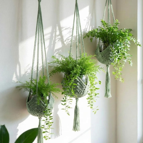 Shappy versatile indoor outdoor plant display for stylish greenery.