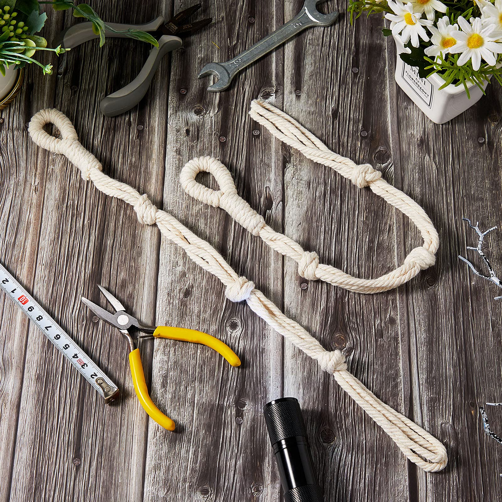 Shappy wall-hanger with plants demonstrates space-saving decor.