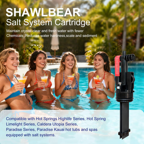 SHAWLBEAR titanium chlorine generator for efficient, stable water sanitation